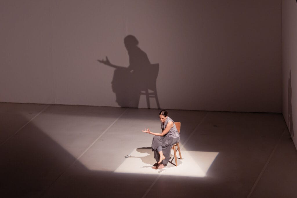 Talento e simpatia de Denise Fraga conquistaram a plateia